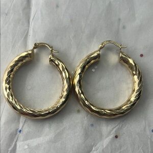 Elegant Gold Hoop Earrings